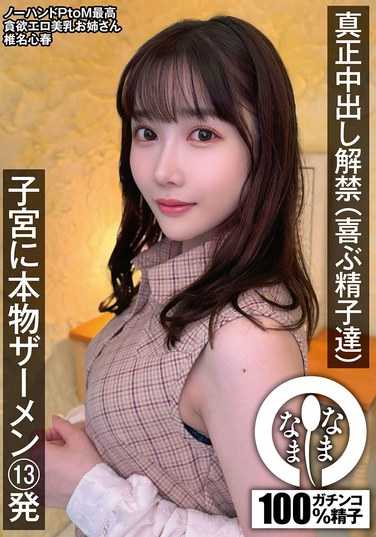  NAMH-028
