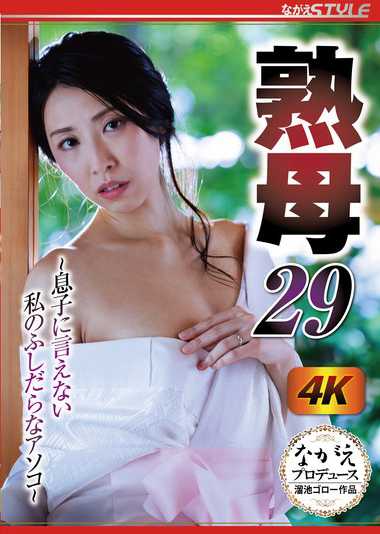  NSFS-312