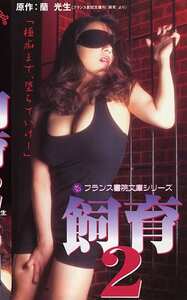  PINK-028