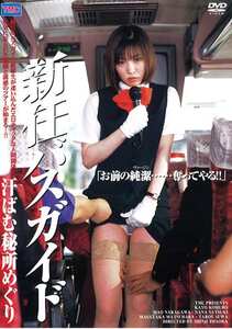  DVS-065