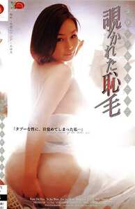  CM-036