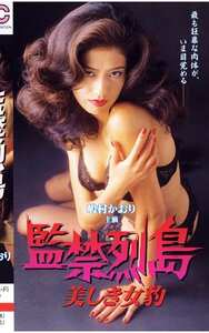  VS-004