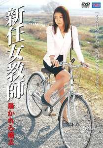  DVS-041