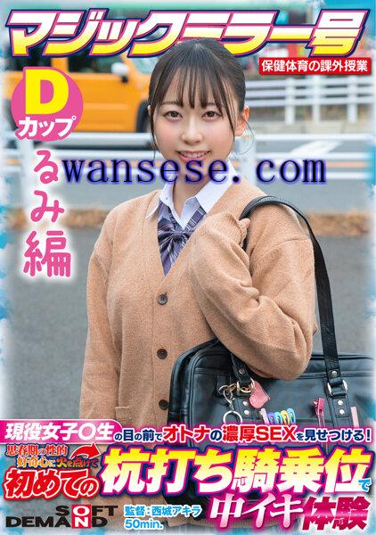  SDMM-13203