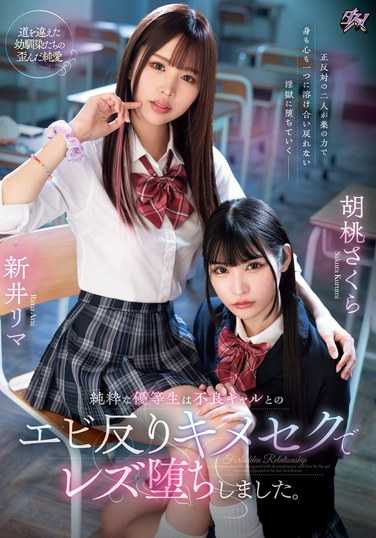  DASS-452