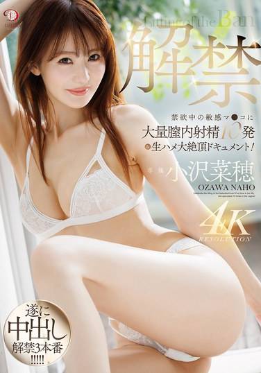  DLDSS-387