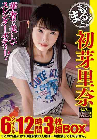  ZMMT-003