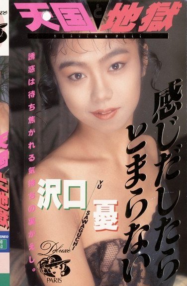  DP-005