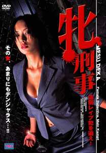  DVS-027