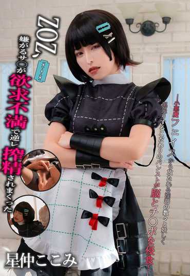 YYDS-001