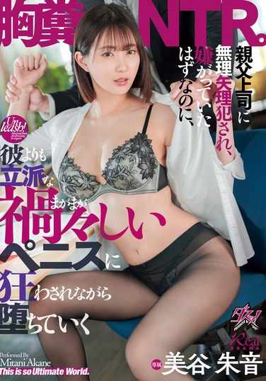  DASS-508