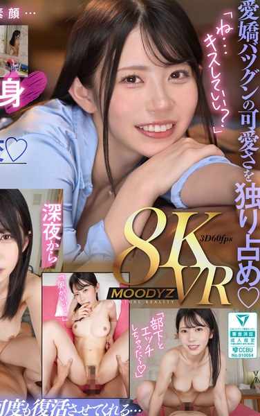  MDVR-334